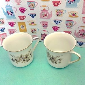 Set of two Johann Haviland Twilight Rose Coffee or Tea Cups Bavaria Germany